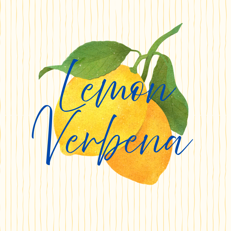 Lemon Verbena Scent
