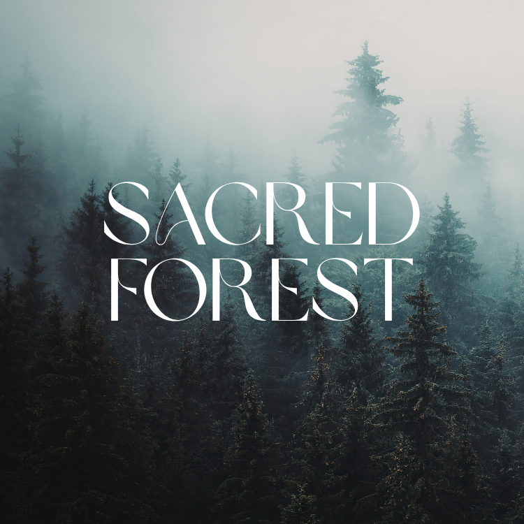 Sacred Forest Scent