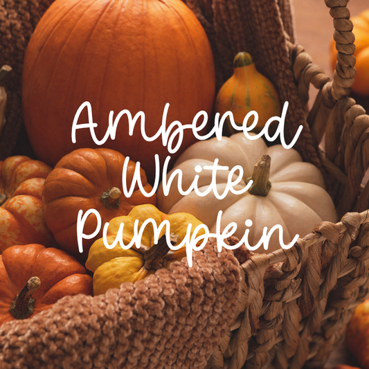 Ambered White Pumpkin Scent
