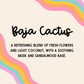 Baja Cactus Car Diffuser