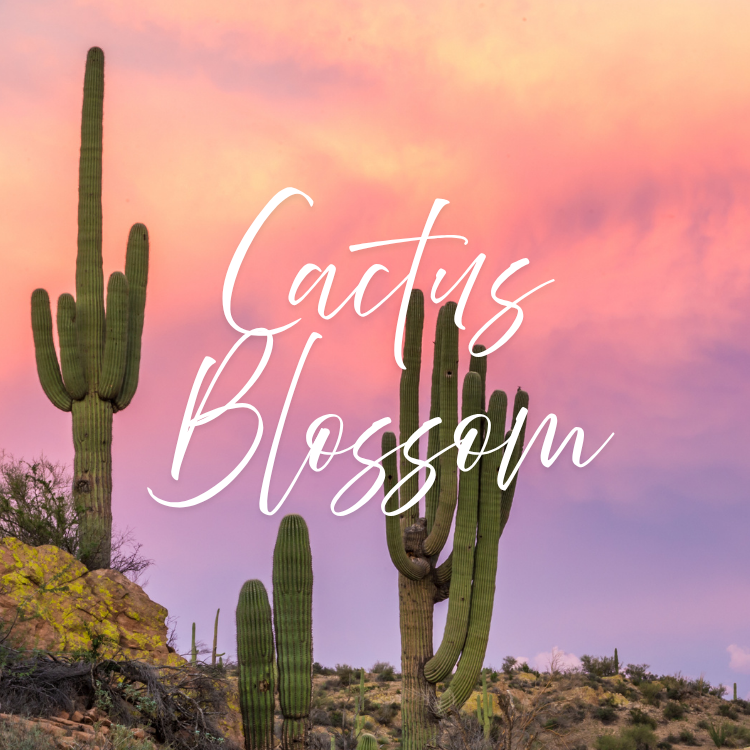 Cactus Blossom Scent